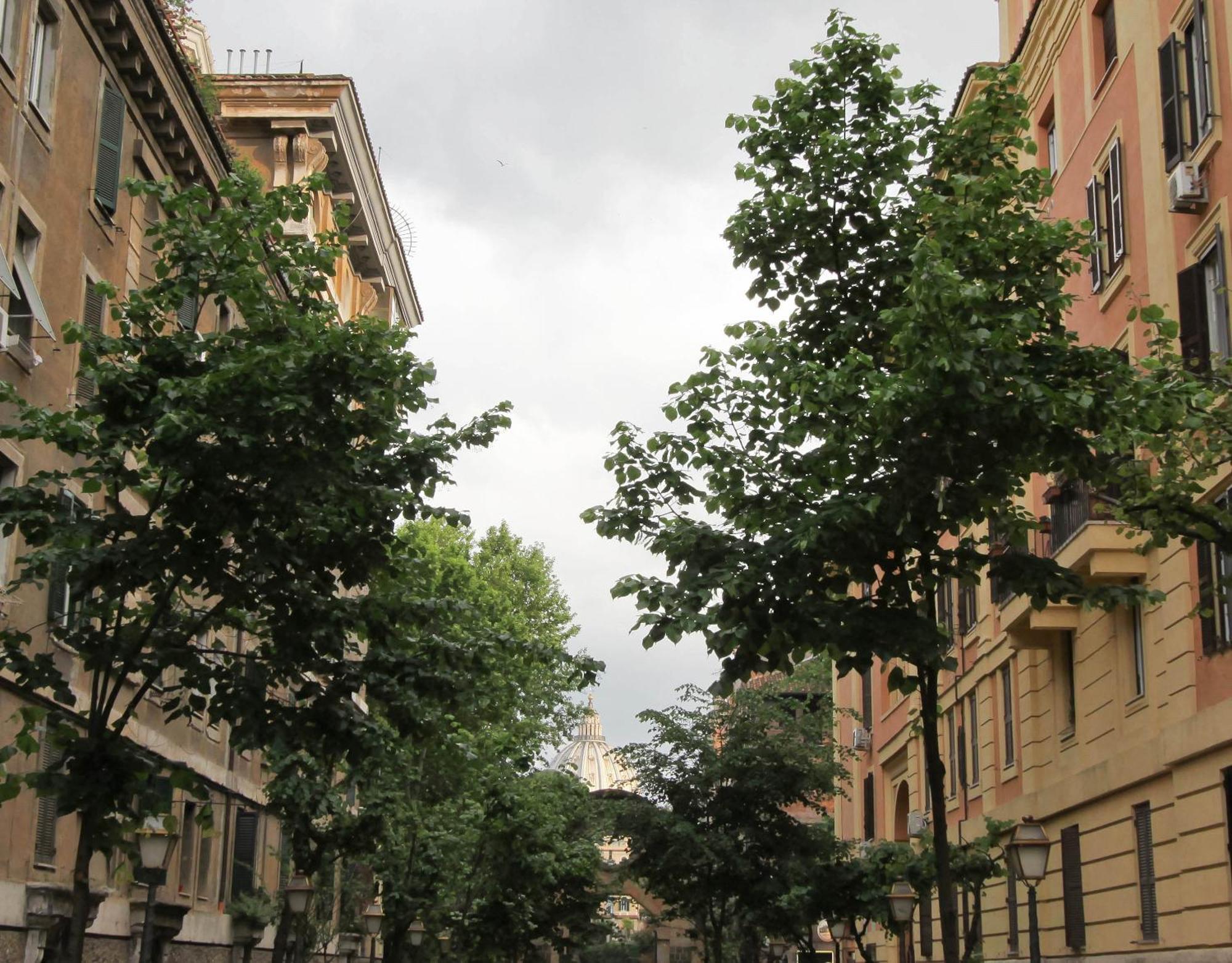 Affittacamere San Pietro Resort - Rome, Rome